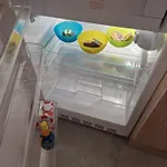 Fenice 的里雅斯特