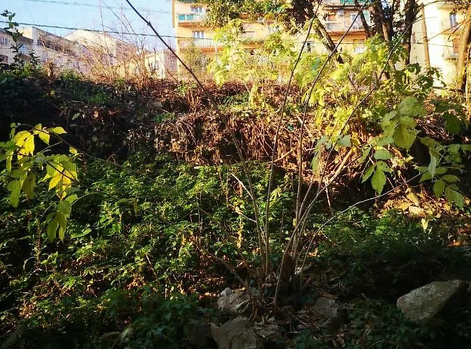 Daire Fenice Trieste